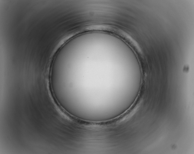 X0000103261033200808291038