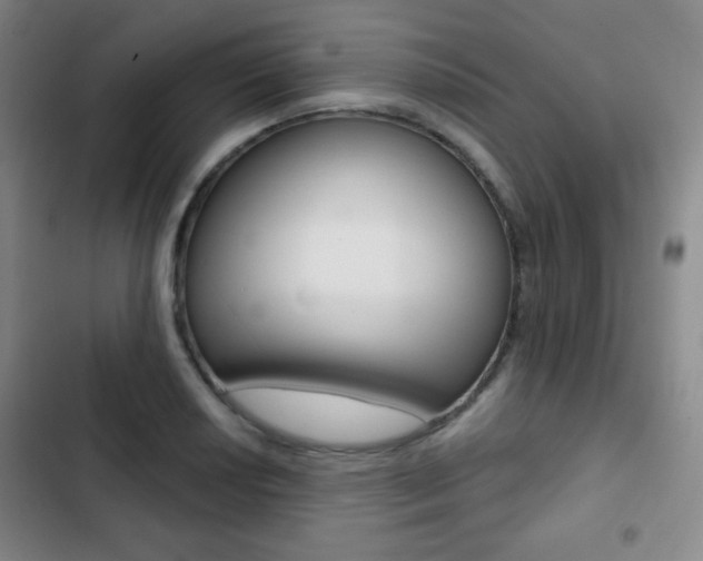 X0000103261034200808291038