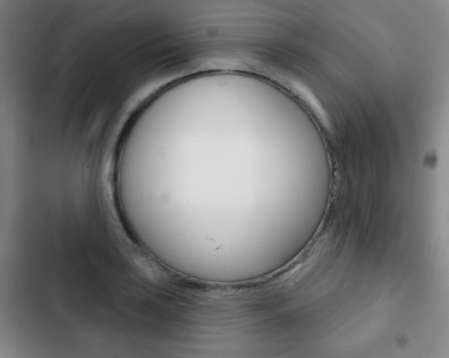 X0000103261035200808291038