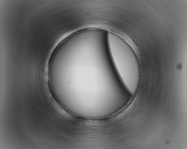 X0000103261036200808291038