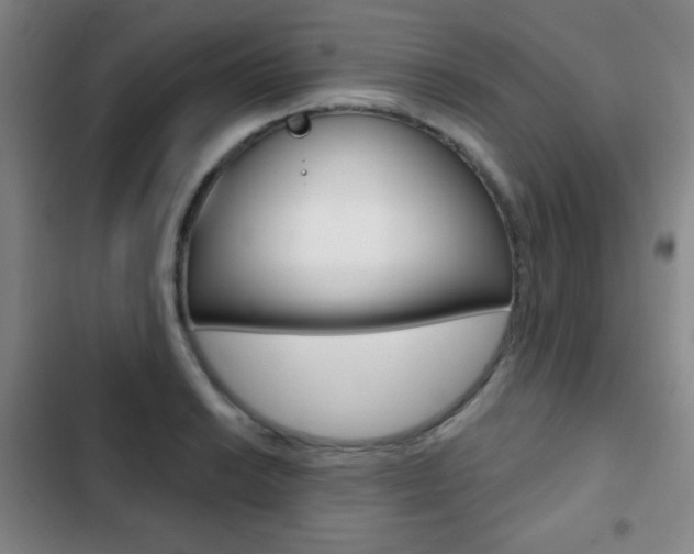 X0000103261038200808291038