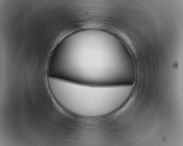 X0000103261041200808291038