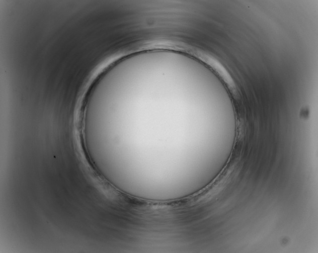X0000103261043200808291038
