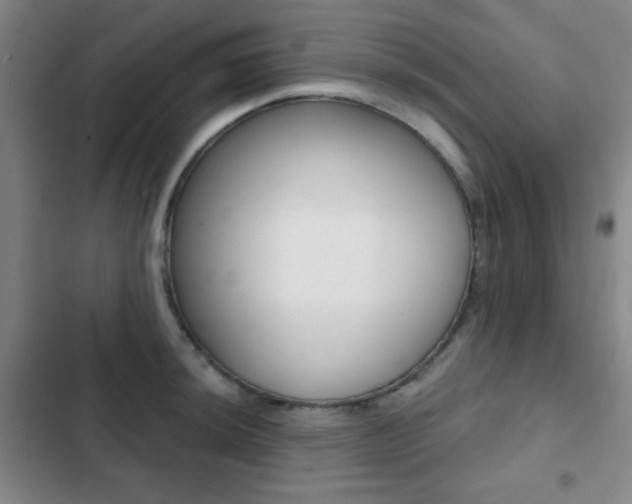 X0000103261044200808291038