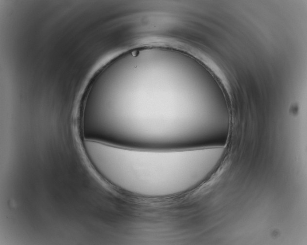 X0000103261045200808291038