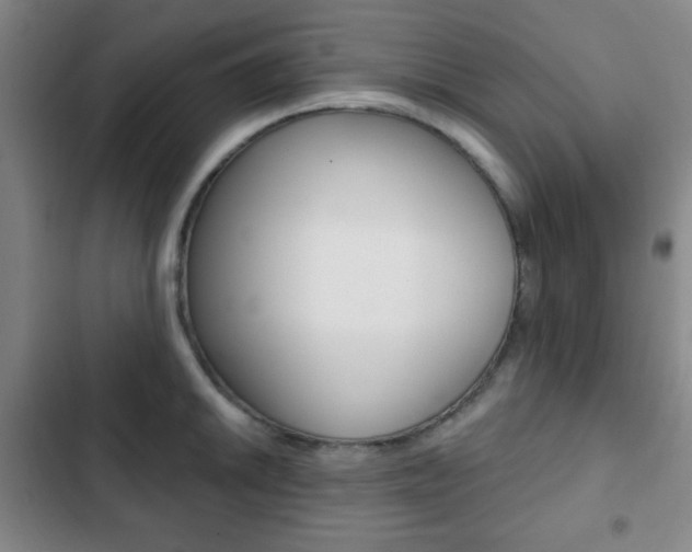 X0000103261046200808291038