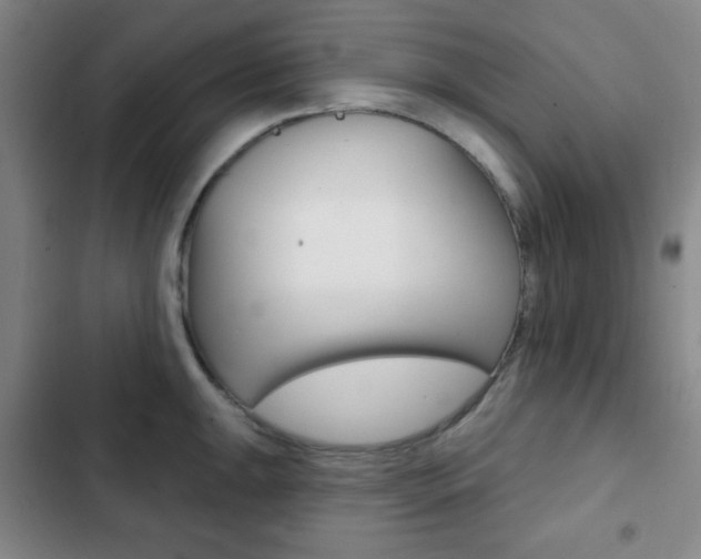 X0000103261047200808291038