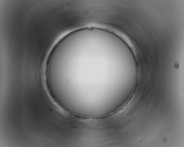 X0000103261048200808291038