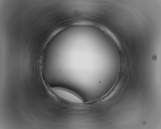 X0000103261049200808291038