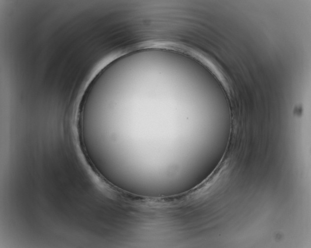 X0000103261050200808291038