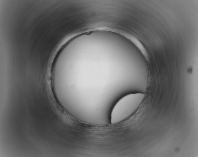 X0000103261051200808291038
