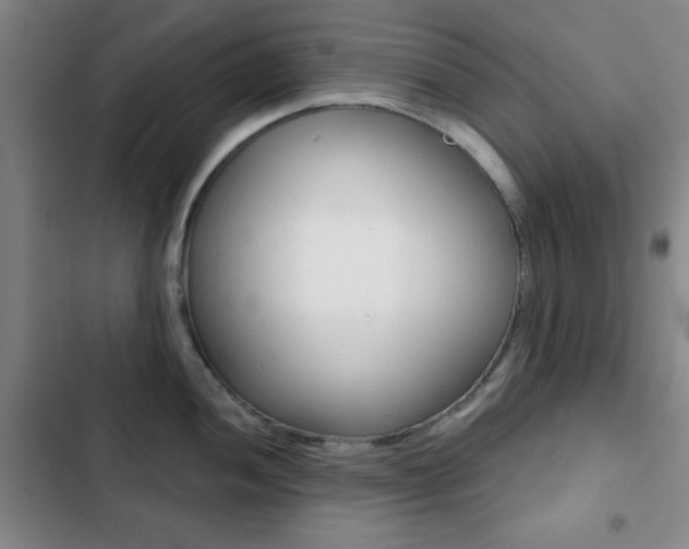 X0000103261052200808291038