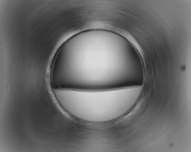 X0000103261053200808291038