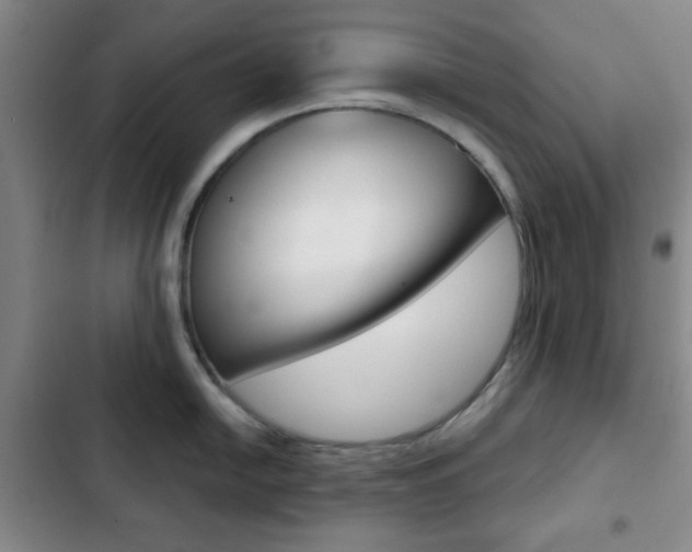 X0000103261054200808291038