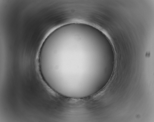 X0000103261056200808291038