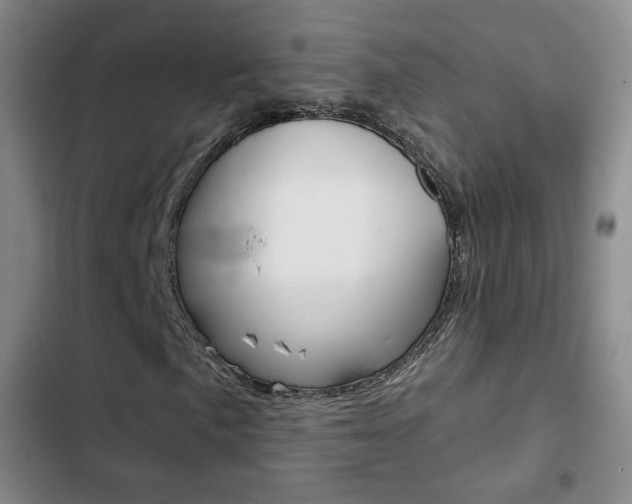 X0000103261057200808291037