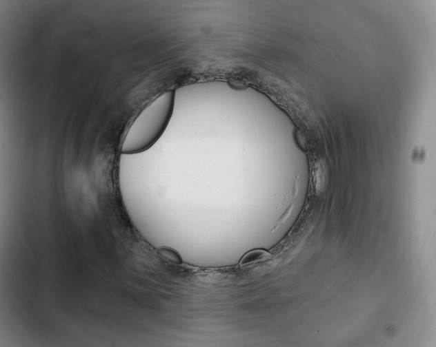 X0000103261059200808291037
