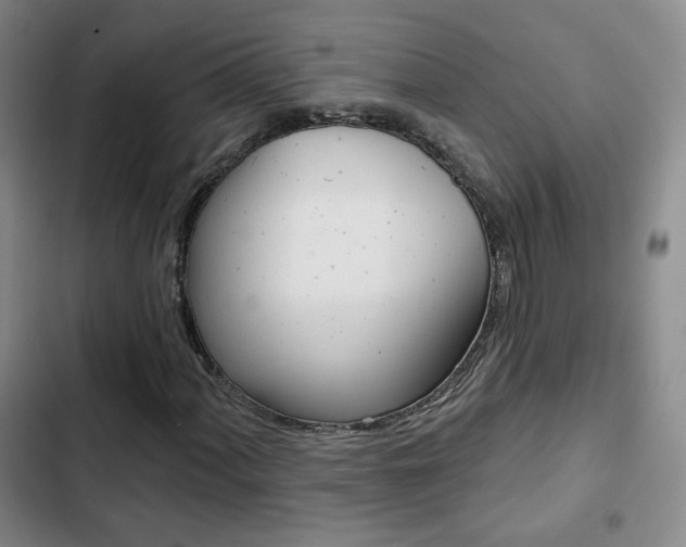 X0000103261060200808291037