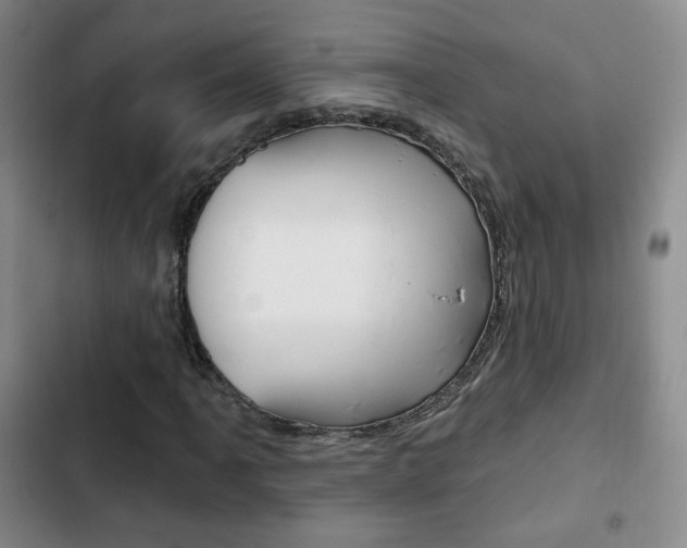 X0000103261061200808291037