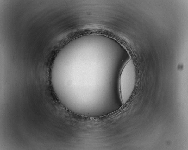X0000103261062200808291037