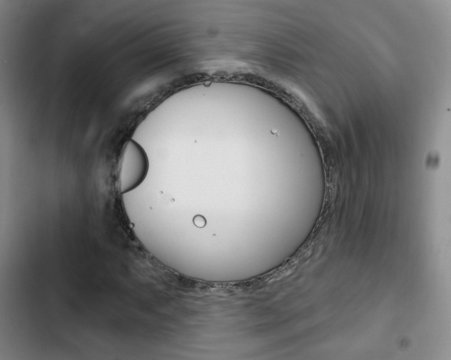 X0000103261063200808291037