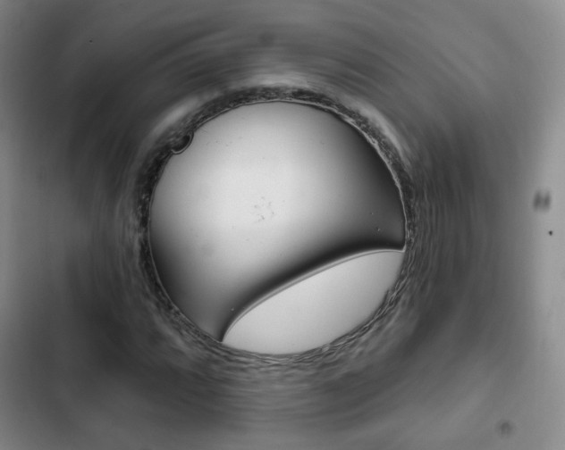 X0000103261064200808291037