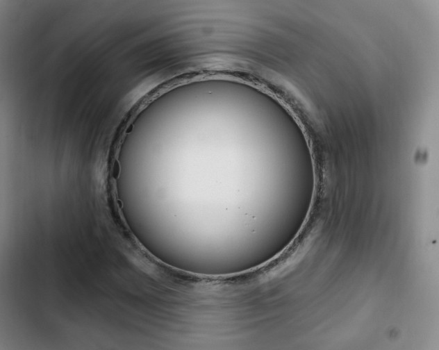 X0000103261065200808291037