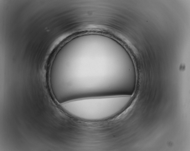 X0000103261066200808291037