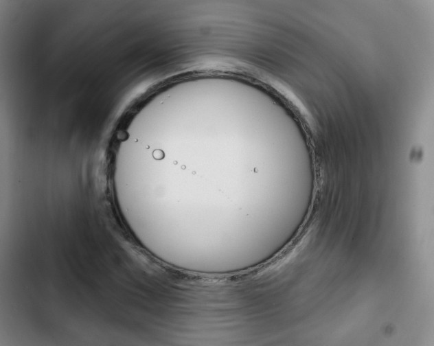 X0000103261067200808291037