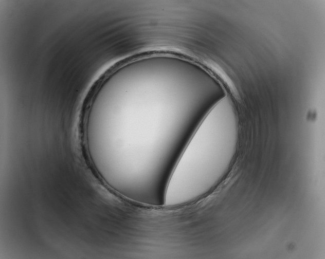 X0000103261068200808291037
