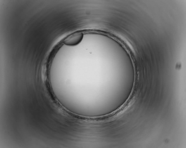 X0000103261069200808291037