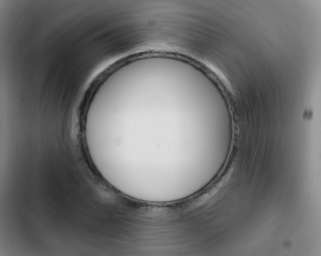 X0000103261070200808291037