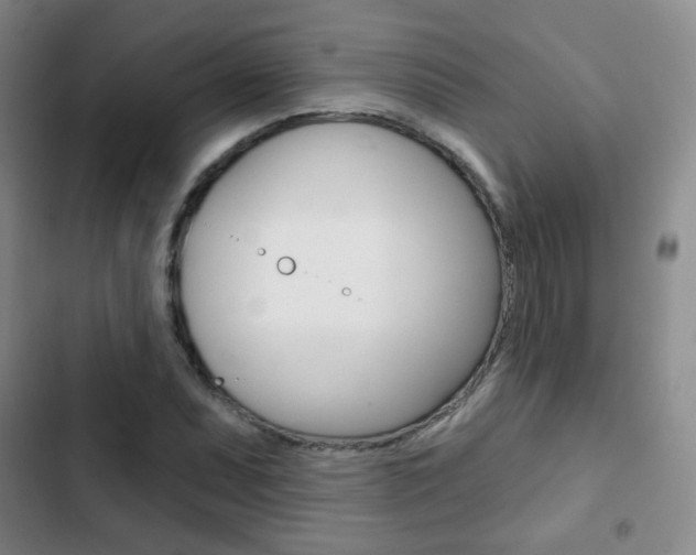 X0000103261071200808291037