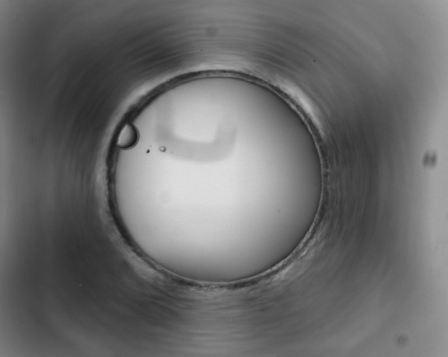X0000103261072200808291037
