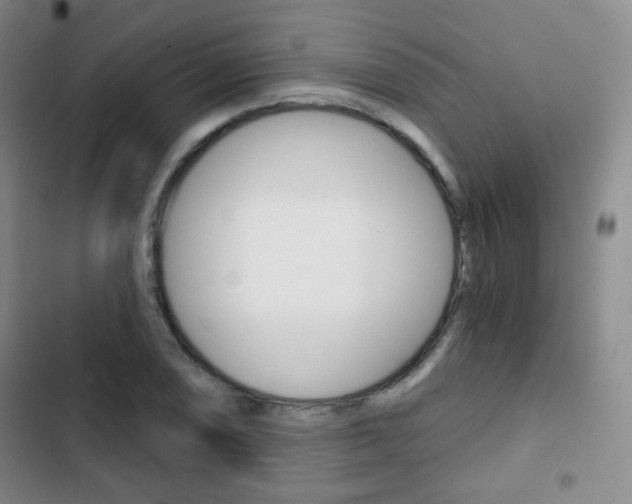 X0000103261074200808291037