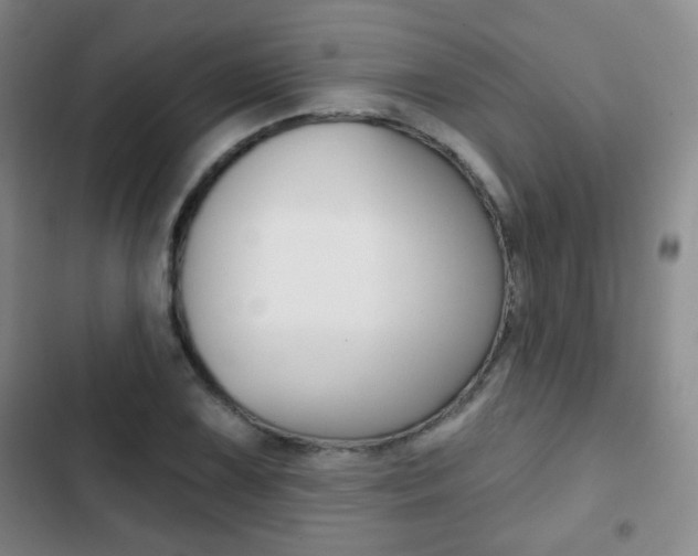 X0000103261075200808291037