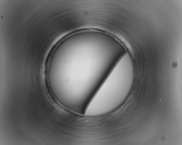 X0000103261076200808291037