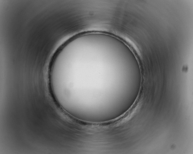 X0000103261077200808291037