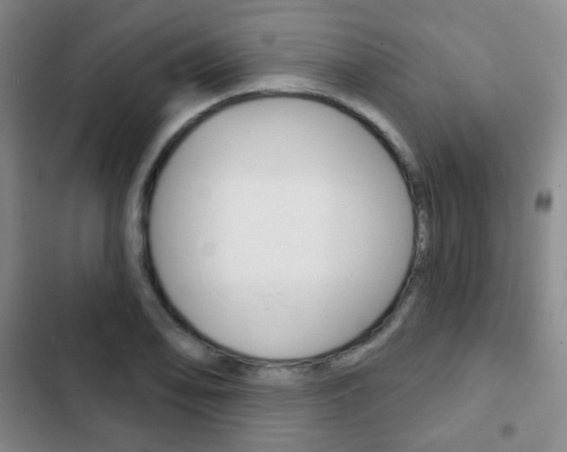 X0000103261078200808291037