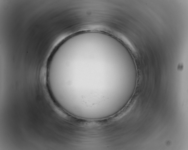 X0000103261079200808291037