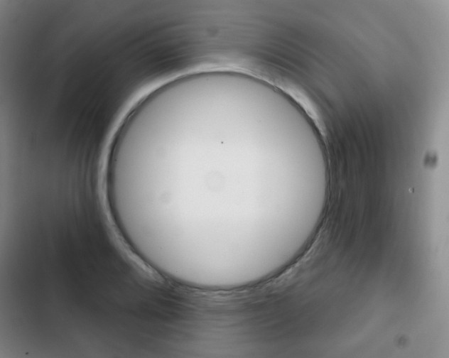 X0000103261080200808291037
