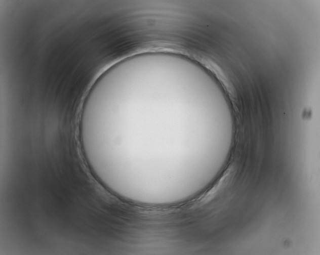 X0000103261081200808291037