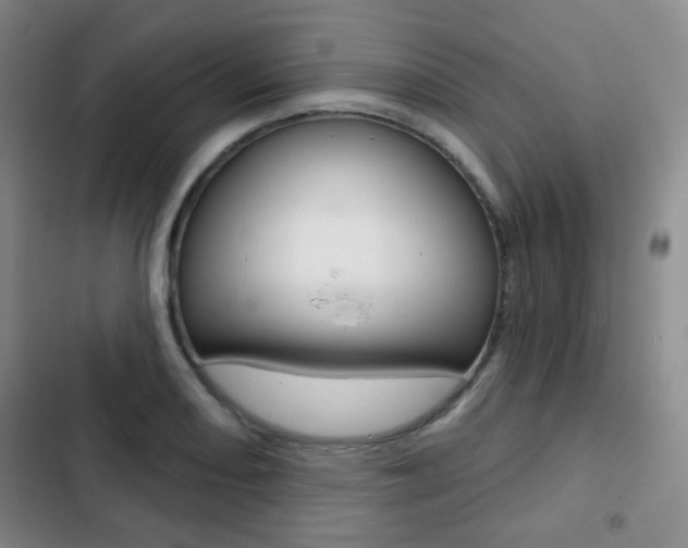 X0000103261082200808291037