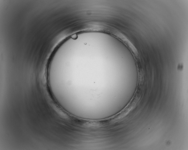 X0000103261083200808291037
