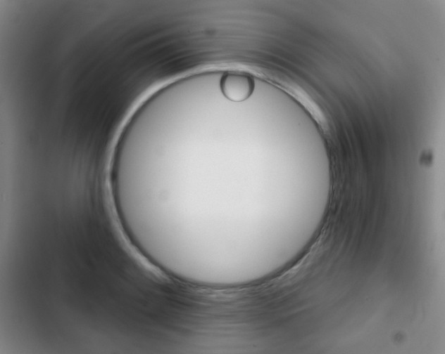 X0000103261084200808291037