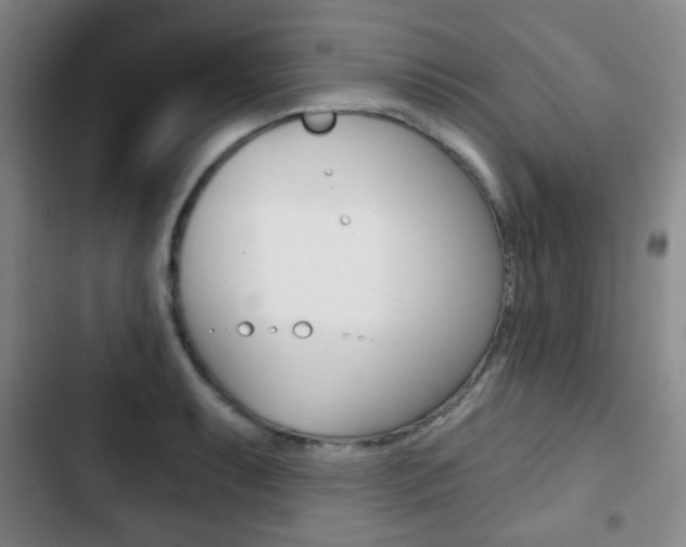 X0000103261087200808291037