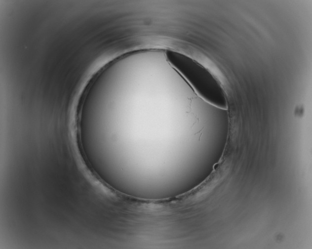 X0000103261088200808291037