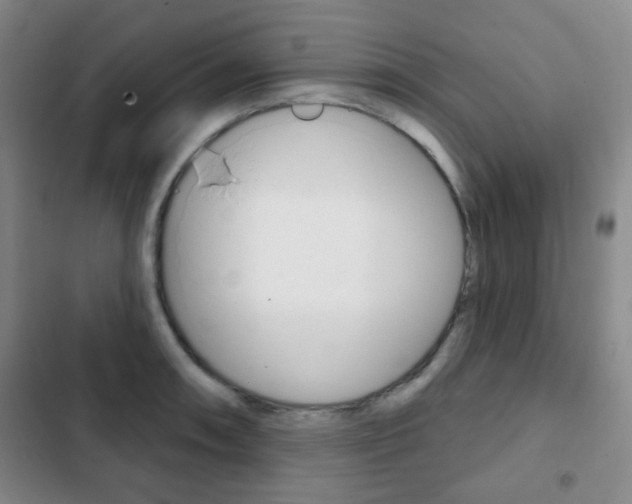 X0000103261090200808291037