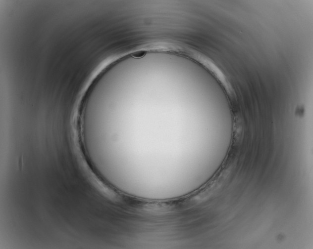 X0000103261091200808291037