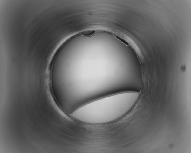 X0000103261092200808291037
